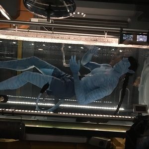 Meet your Posher, Heidi